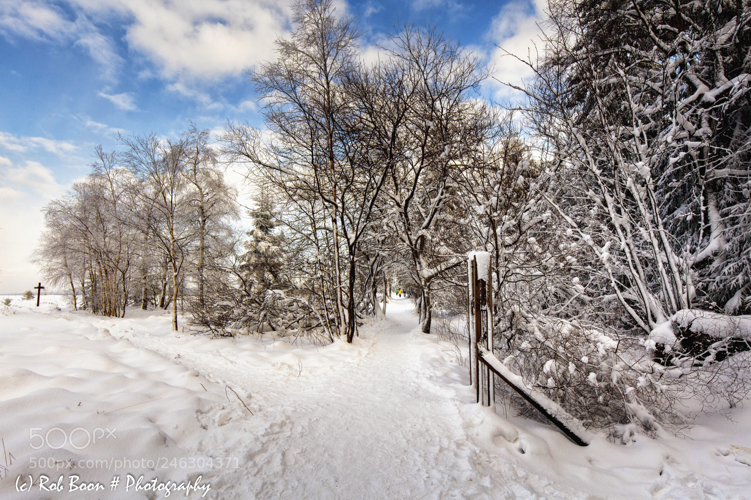 Canon EOS 5DS sample photo. Winter @ hautes fagnes 2 photography