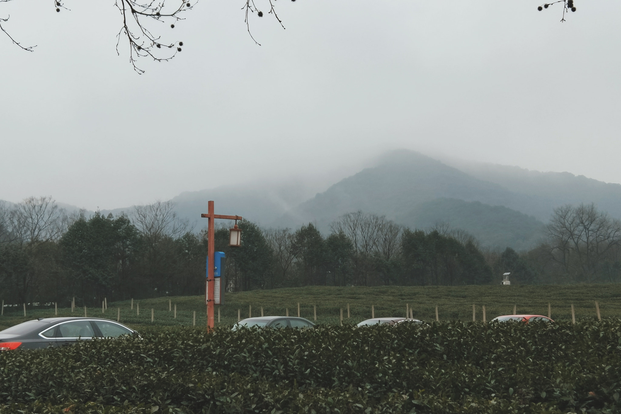 OPPO R11 sample photo. Winter photography