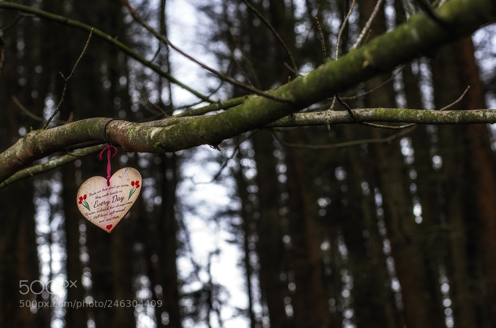 Nikon D7100 sample photo. Remembrance photography