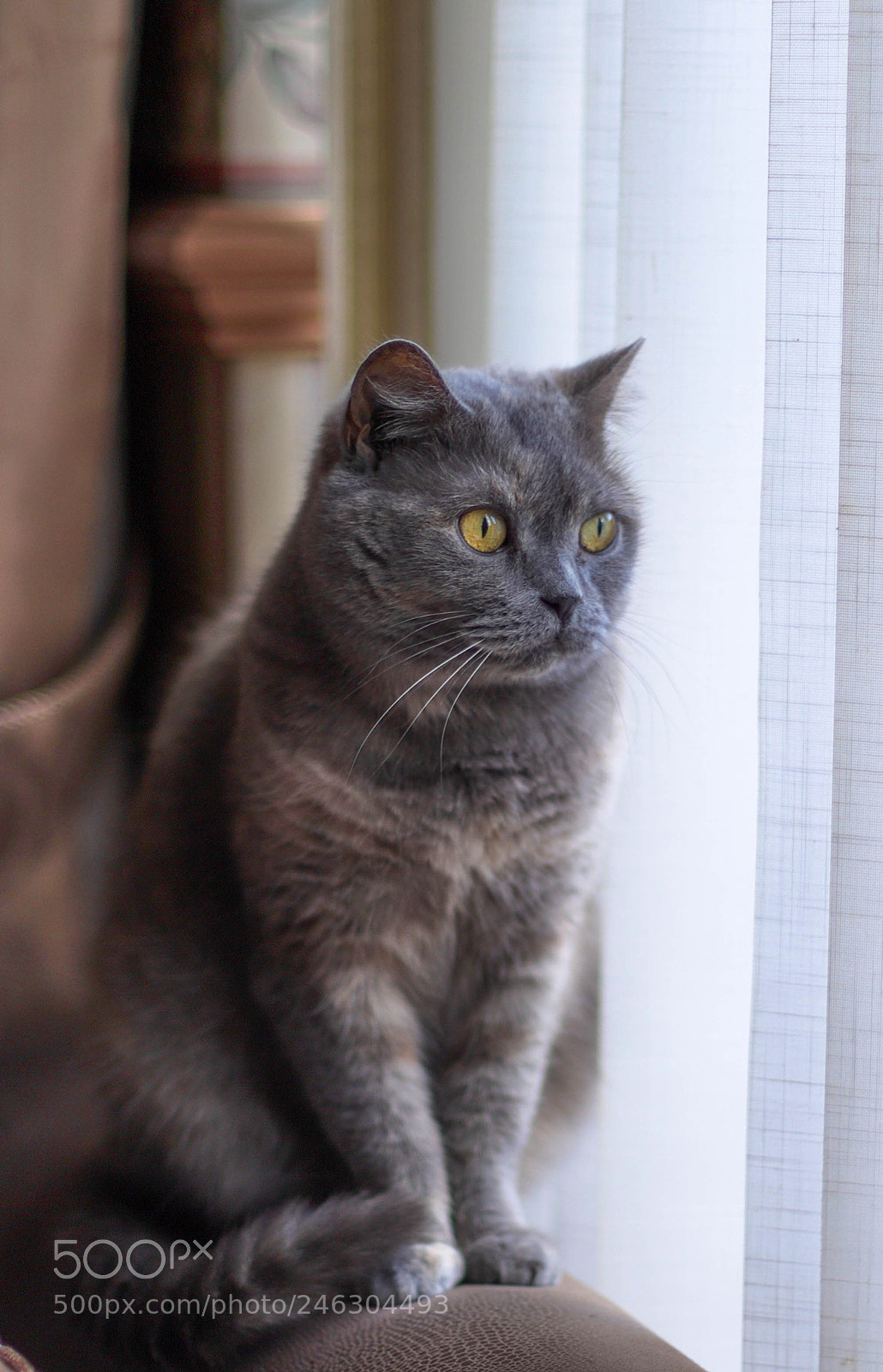 Canon EOS 6D Mark II sample photo. Untitled photography