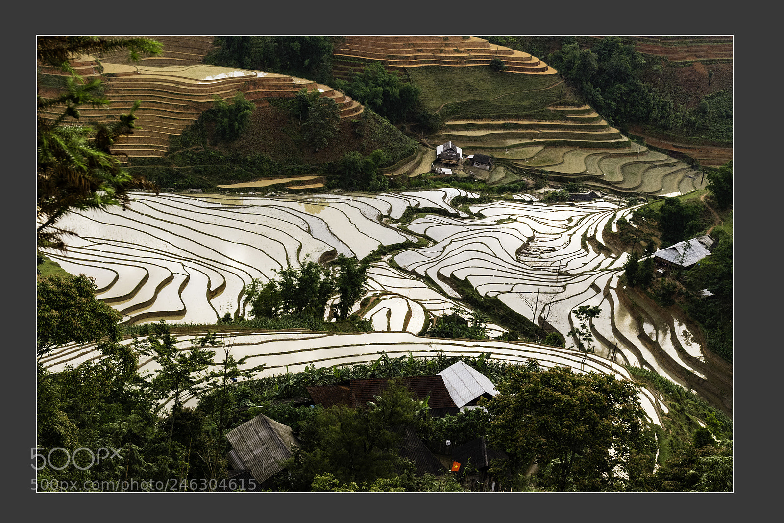 Nikon D5 sample photo. Natural village landscape in photography
