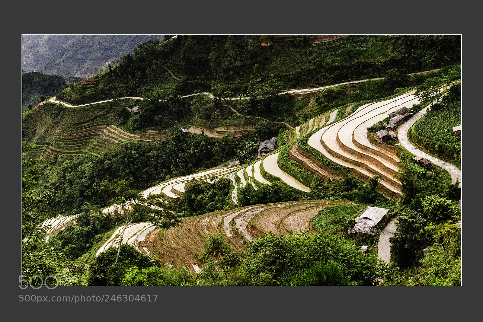 Nikon D5 sample photo. Natural village landscape in photography