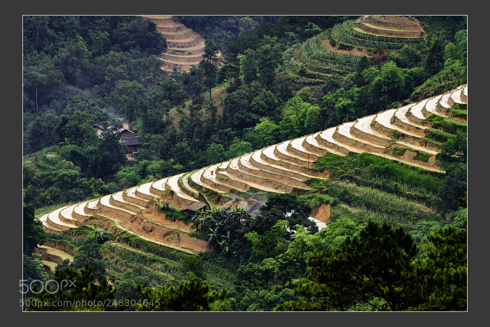 Nikon D5 sample photo. Natural village landscape in photography