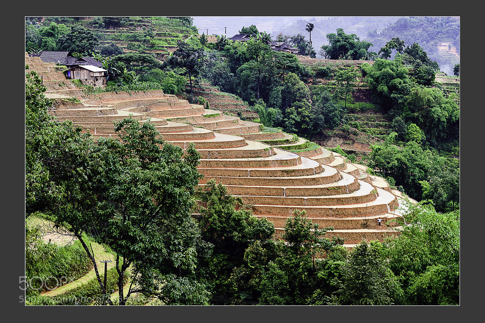 Nikon D5 sample photo. Natural village landscape in photography