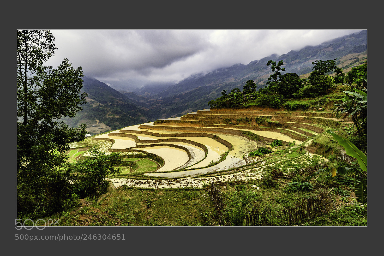 Nikon D5 sample photo. Natural village landscape in photography