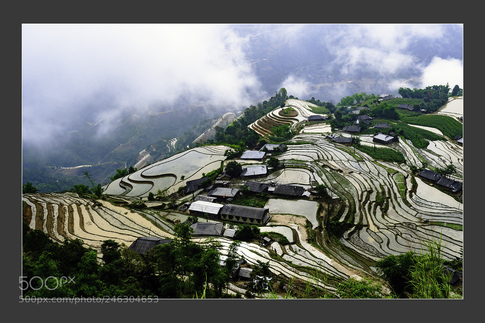 Nikon D5 sample photo. Natural village landscape in photography