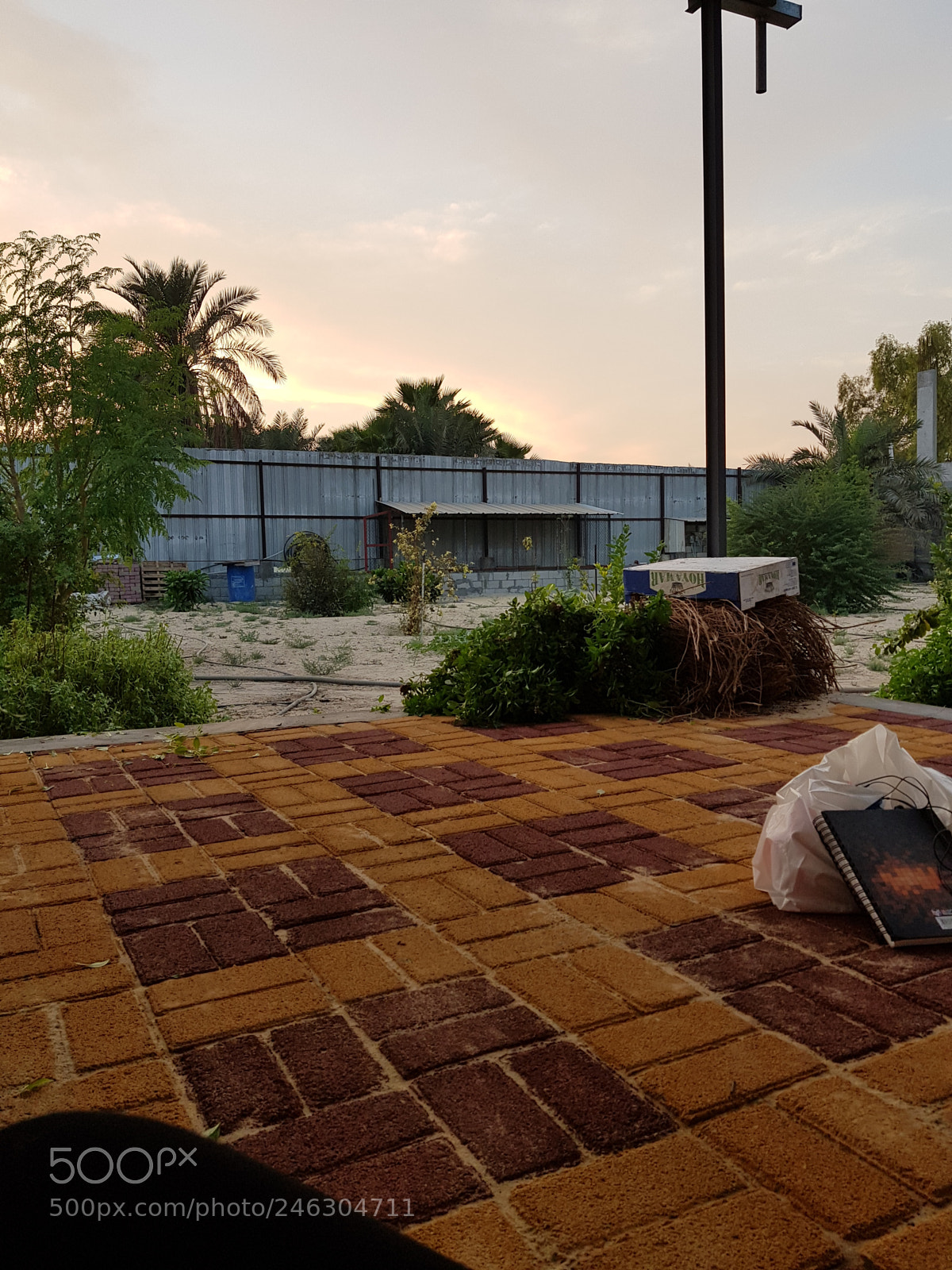 Samsung Galaxy S8 sample photo. Untitled photography