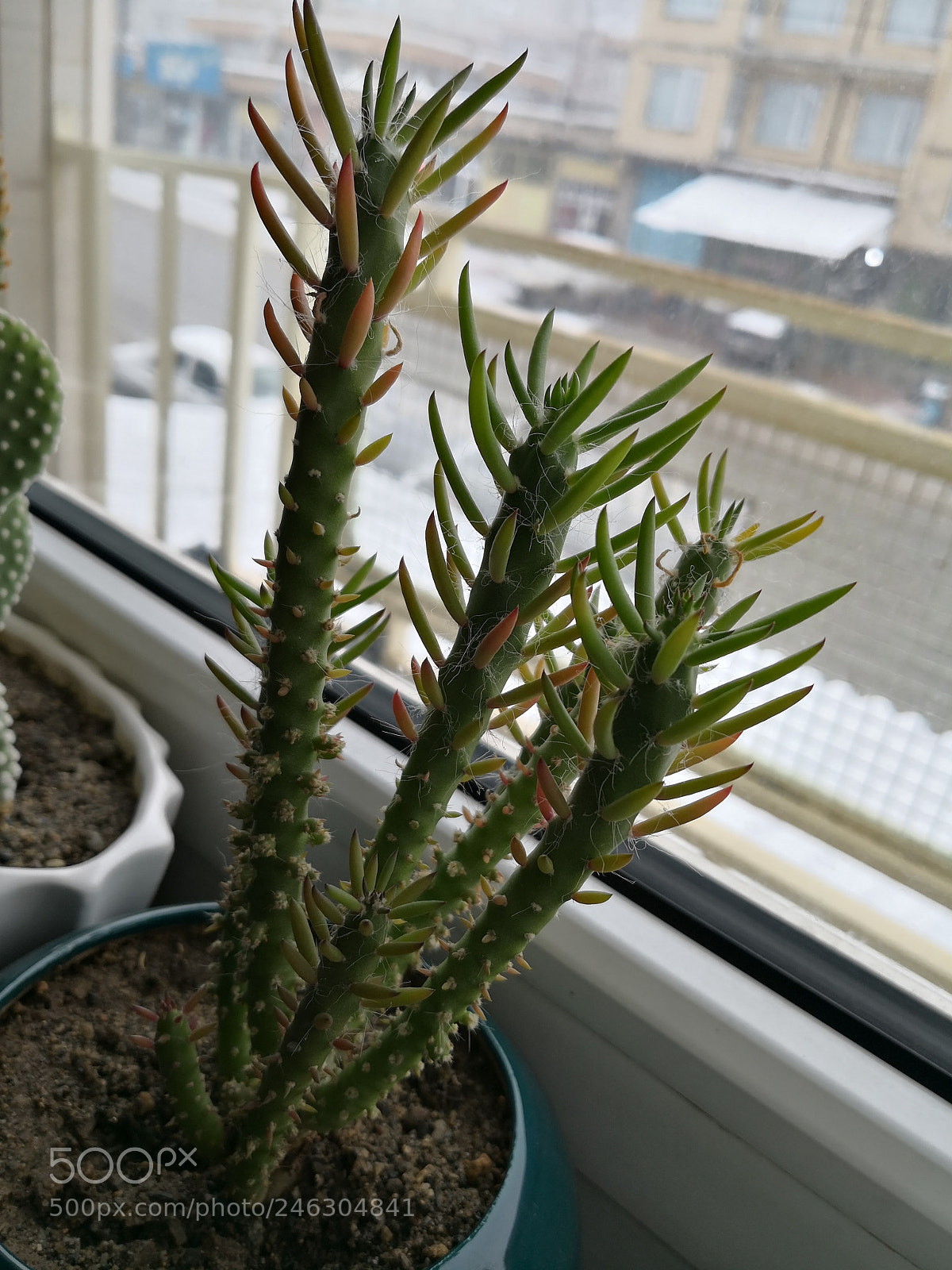 HUAWEI Mate 10 sample photo. Untitled photography
