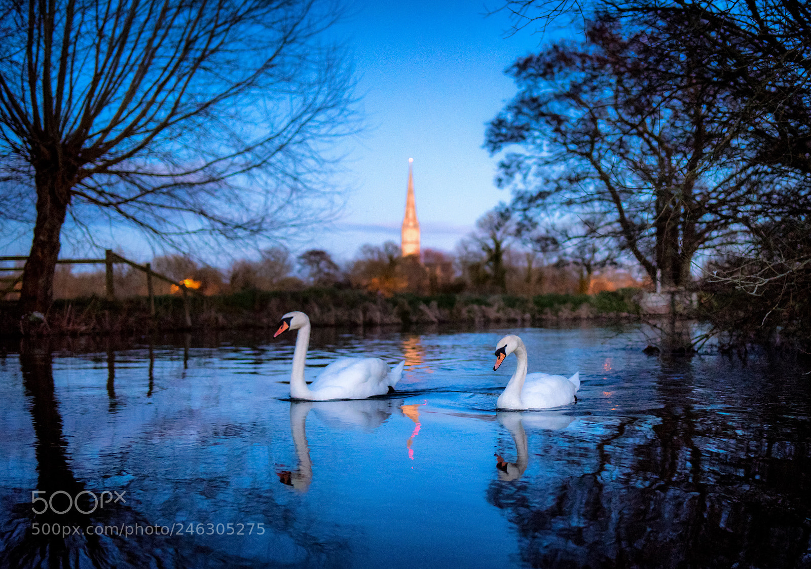 Nikon D810 sample photo. Twilight in salisbury photography