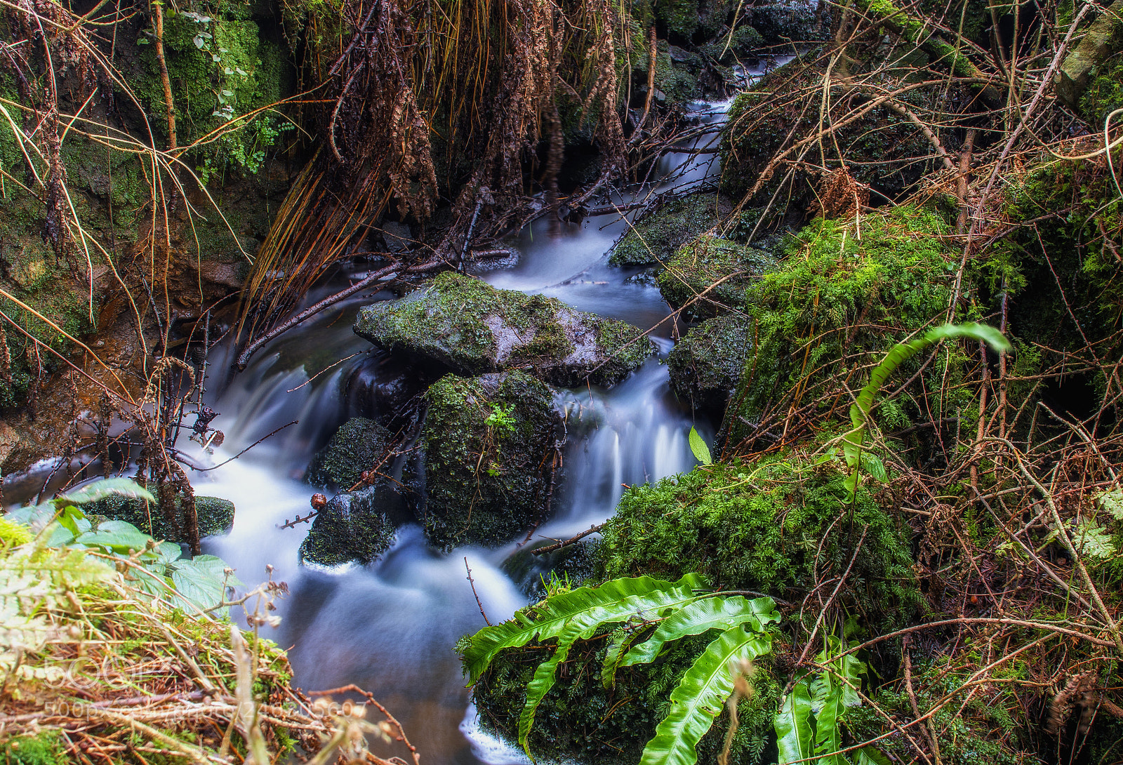 Nikon D7100 sample photo. Flowing through colour photography