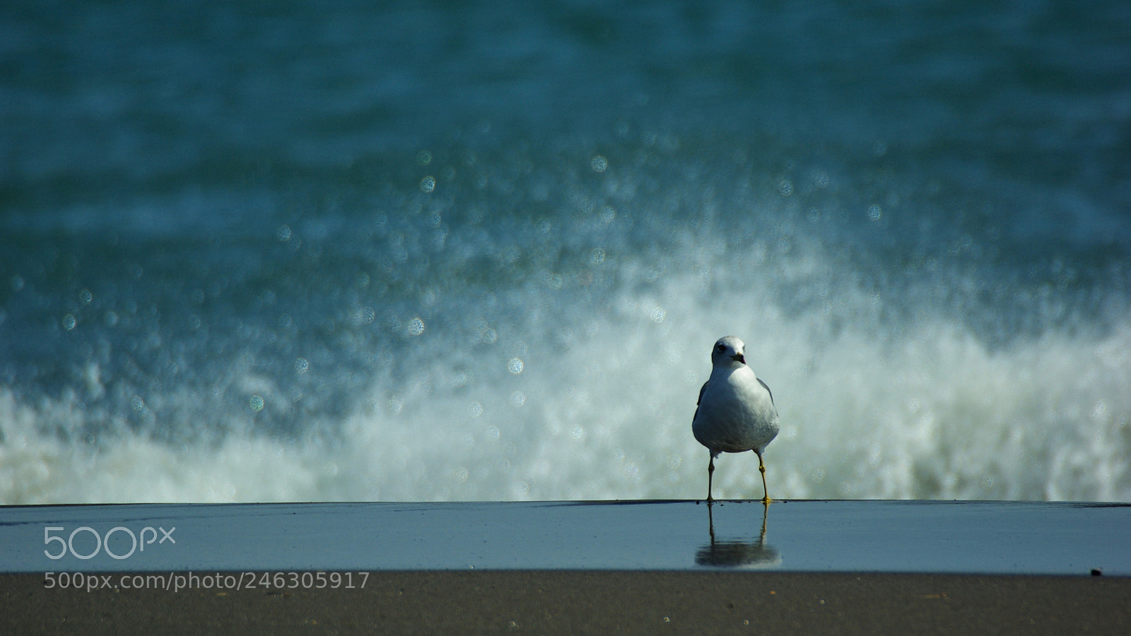 Pentax K10D sample photo. Splash photography