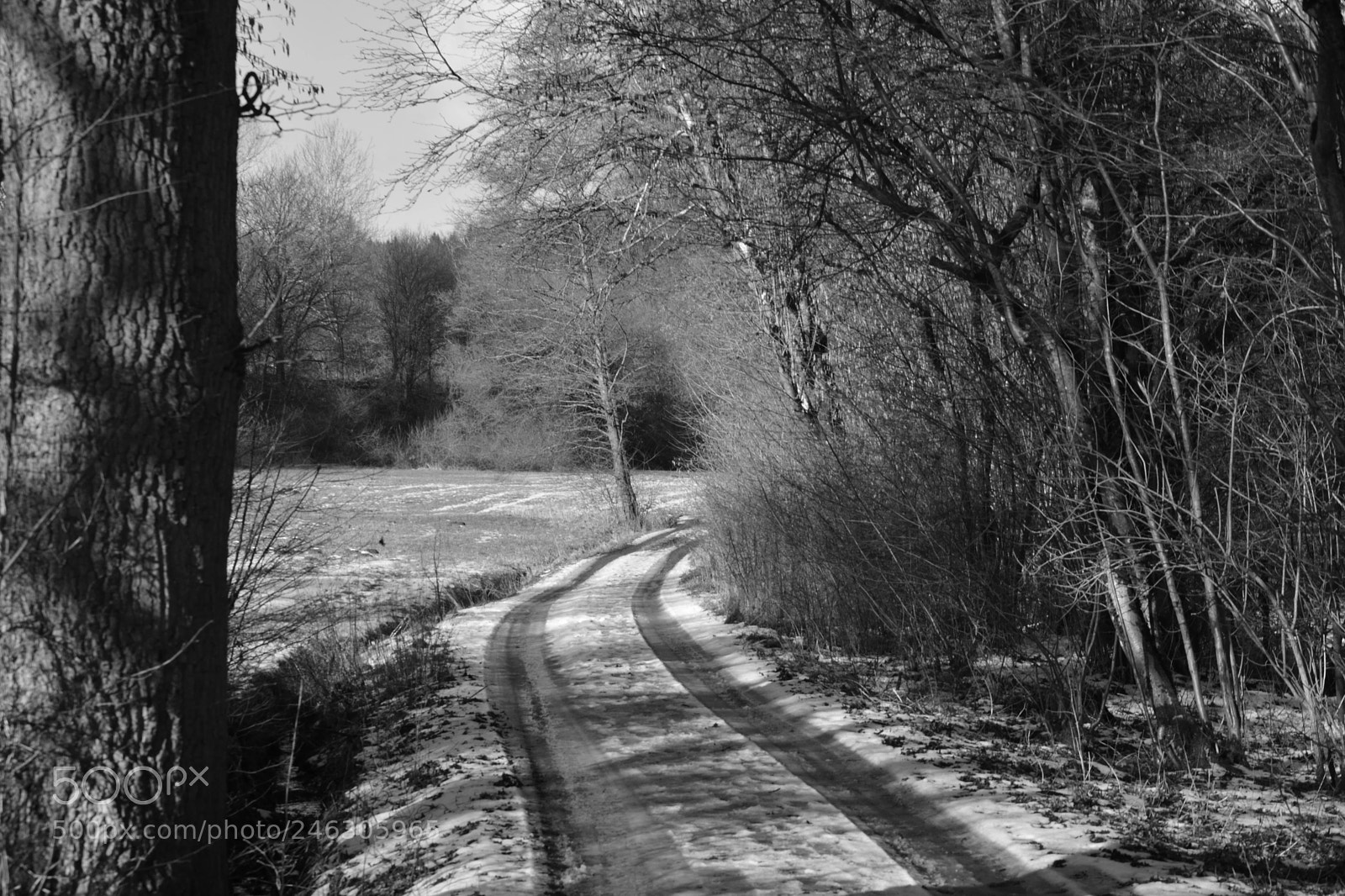 Nikon D5200 sample photo. B&w way photography
