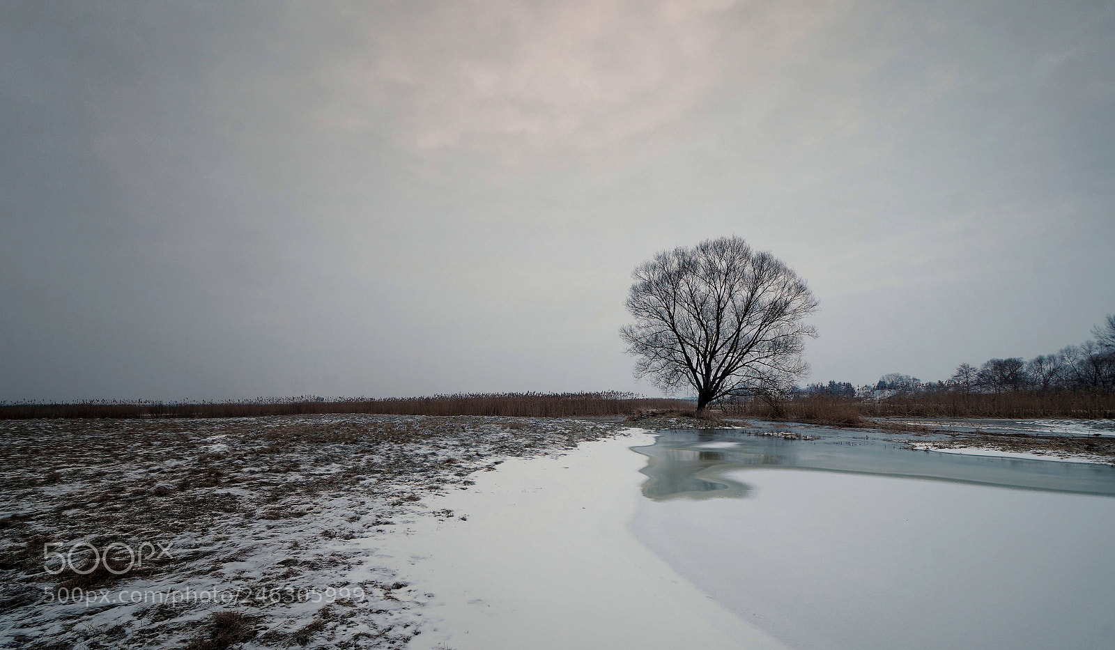 Pentax K-30 sample photo. Dawning photography
