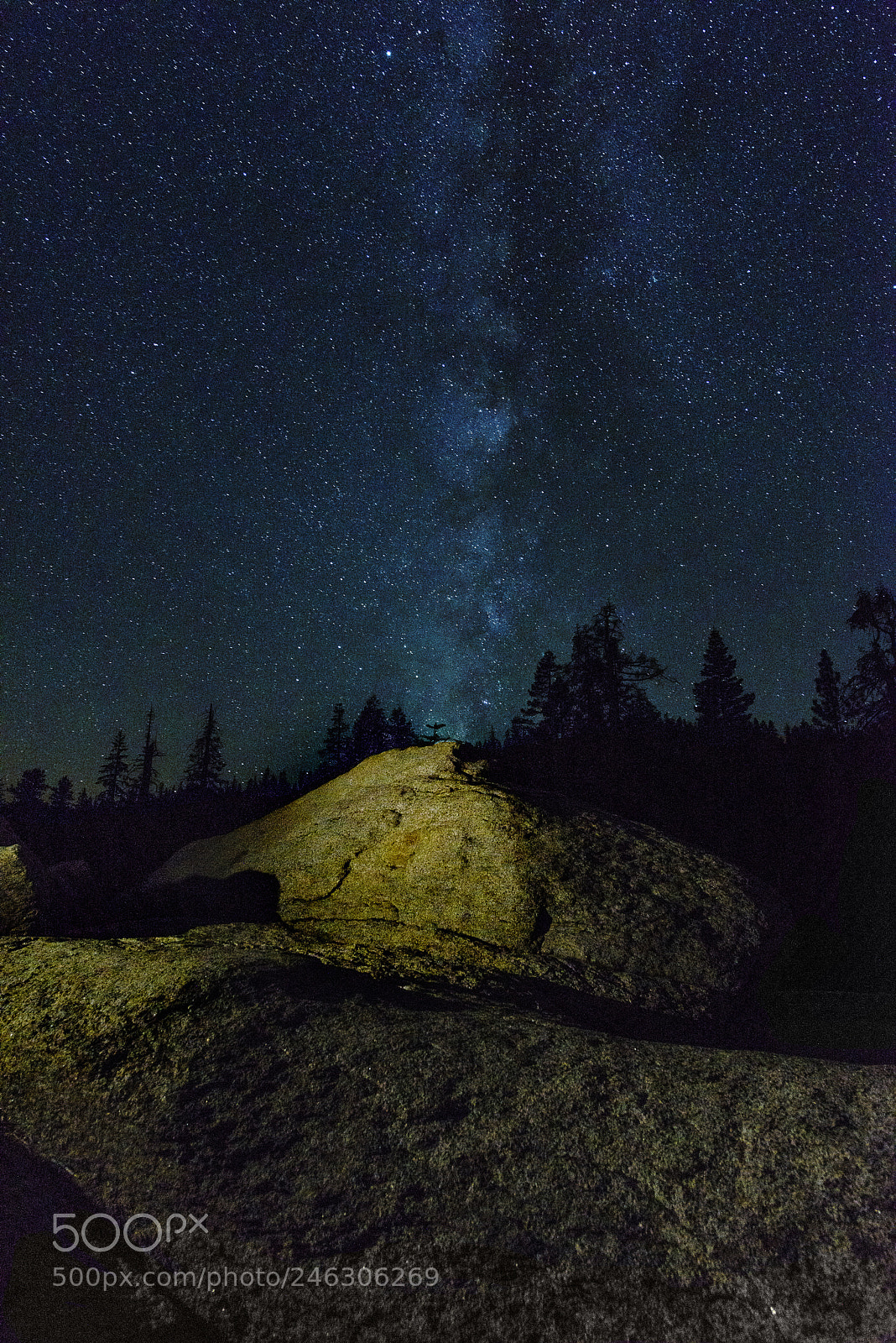 Nikon D810 sample photo. Yosemite milky way photography
