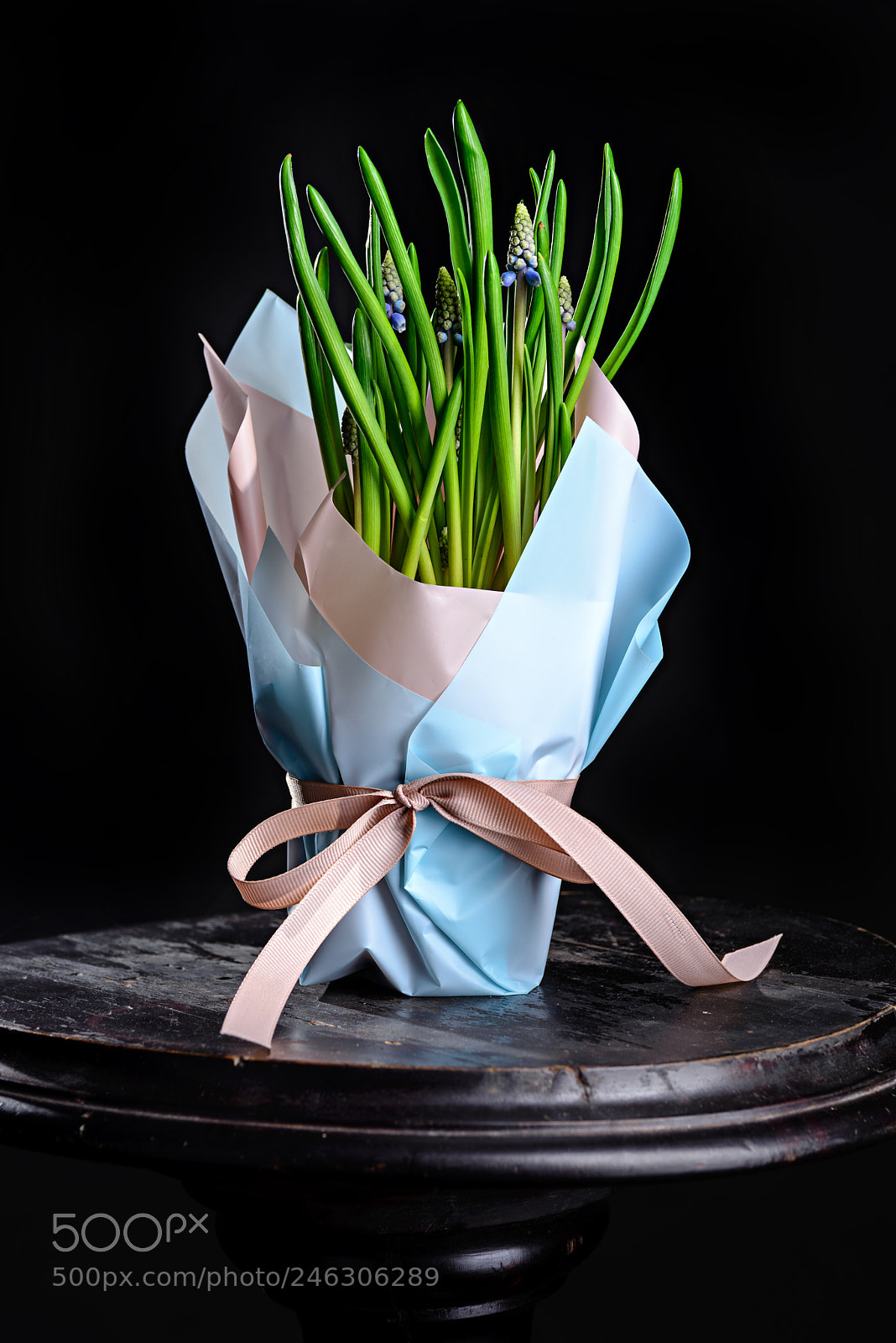 Nikon D610 sample photo. Muscari photography