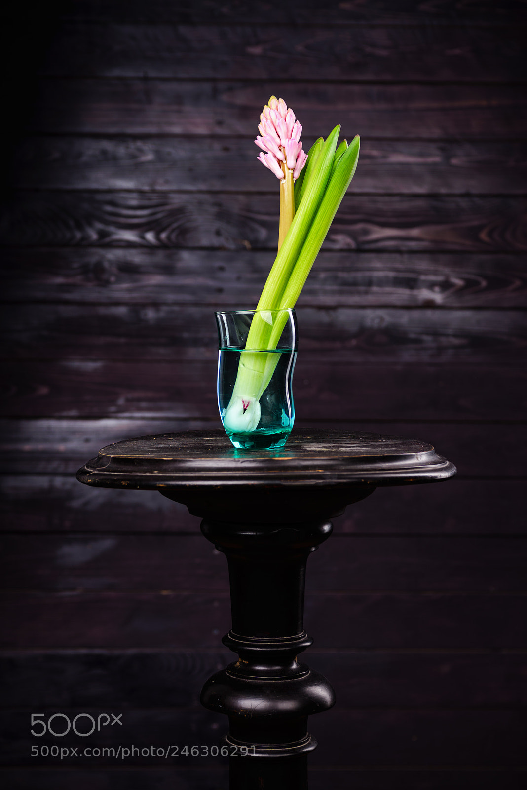 Nikon D610 sample photo. Hyacinth photography