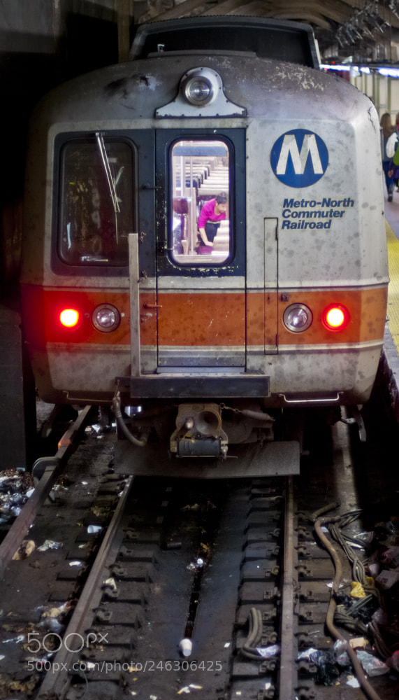 Nikon D300S sample photo. Mta train photography