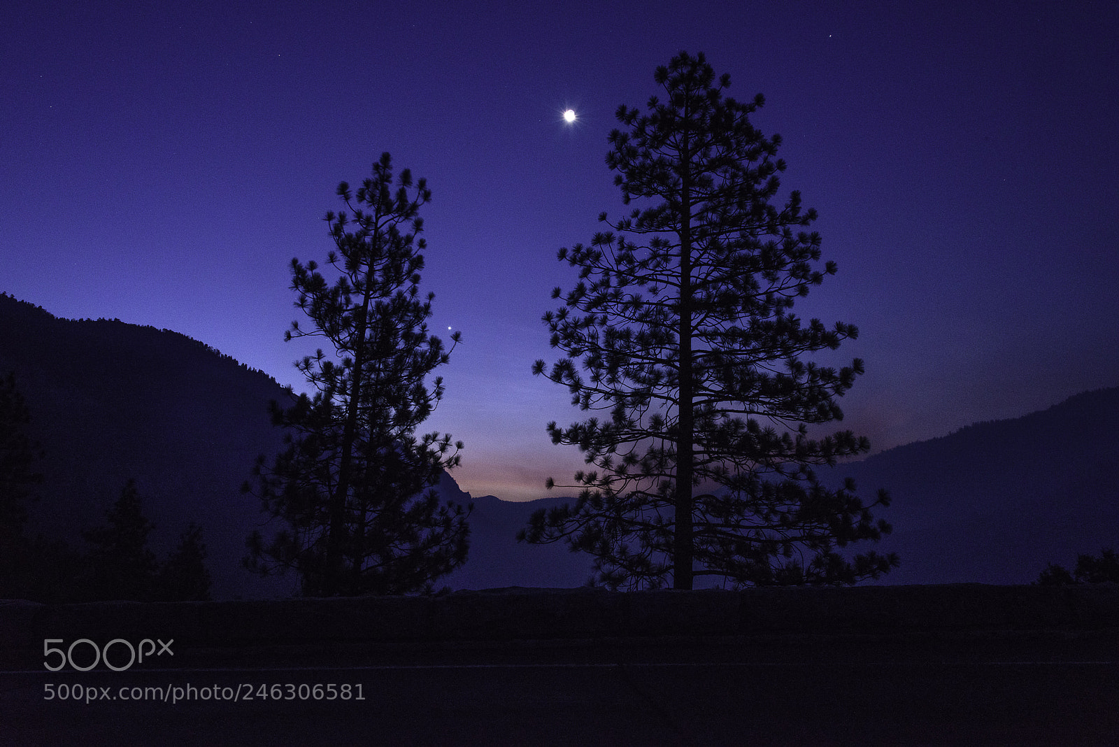 Nikon D810 sample photo. Yosemite morning photography