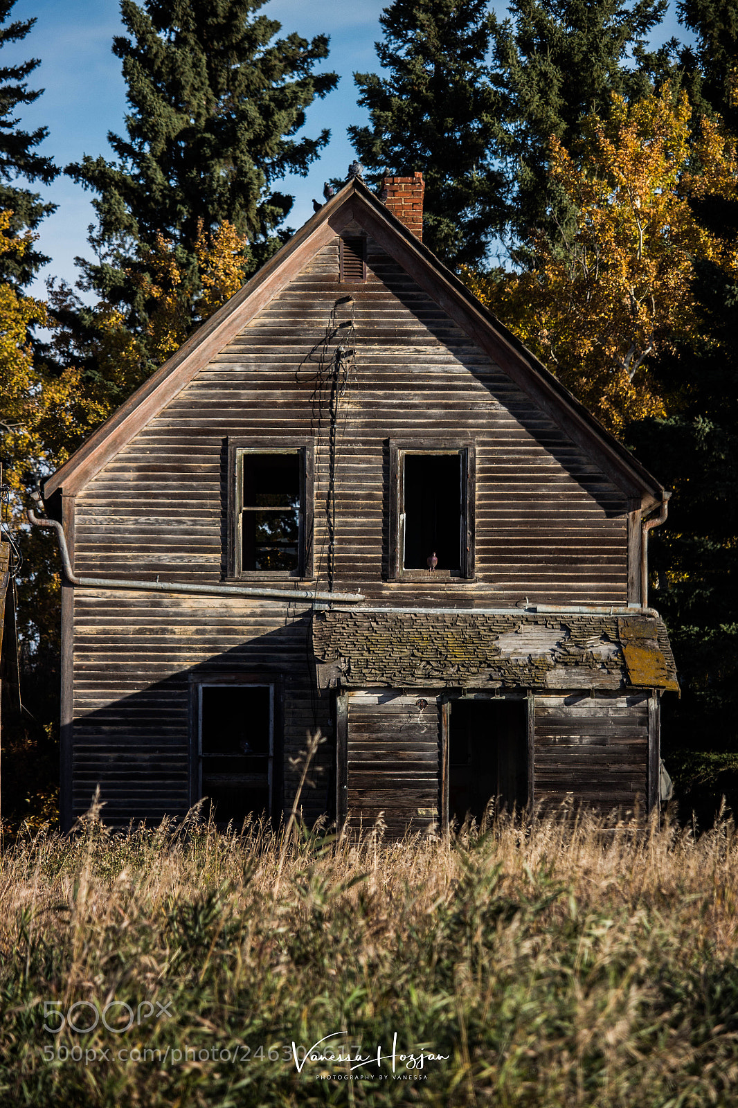Canon EOS 700D (EOS Rebel T5i / EOS Kiss X7i) sample photo. Saskatchewan oct 2017 photography