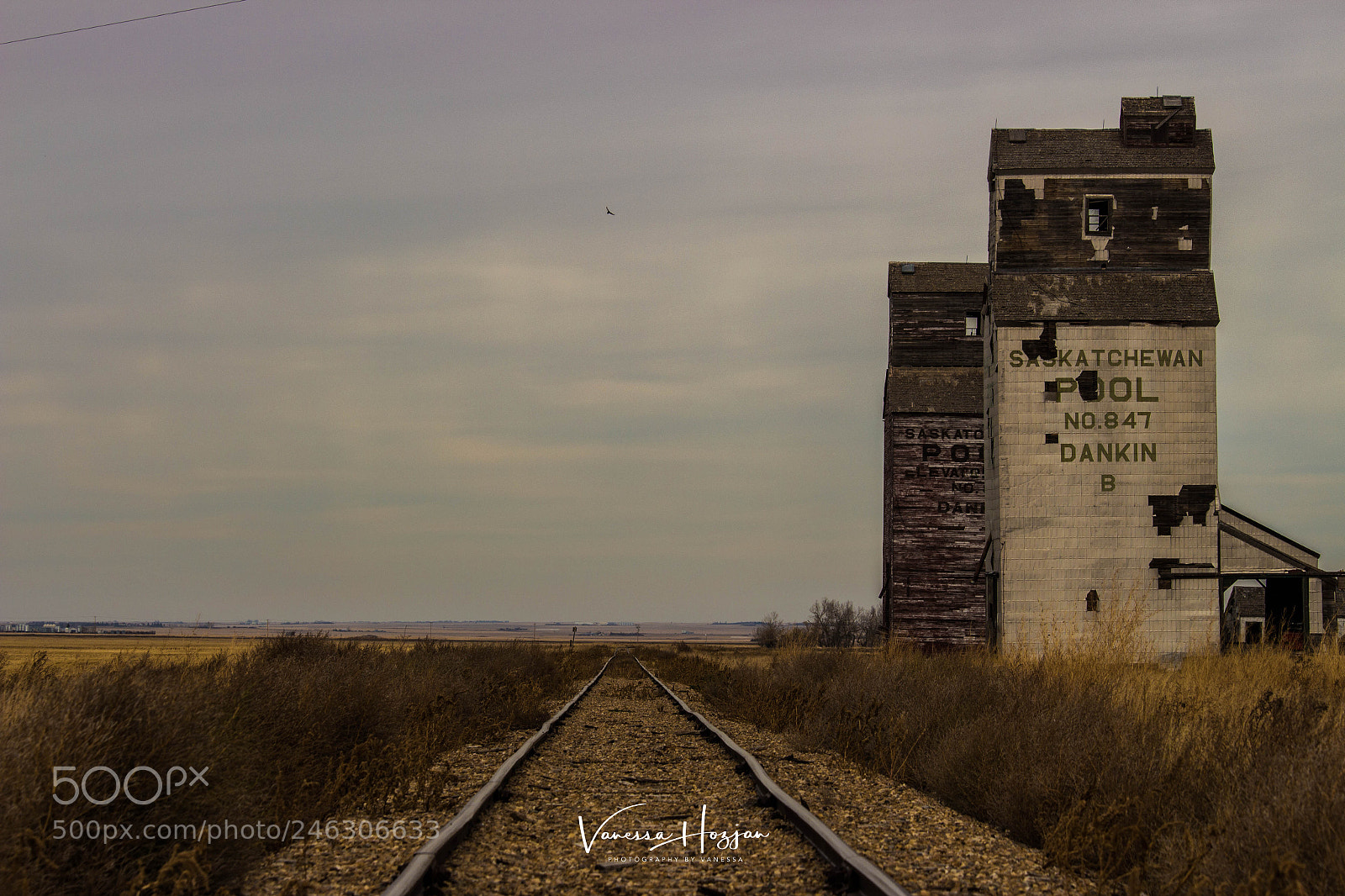 Canon EOS 700D (EOS Rebel T5i / EOS Kiss X7i) sample photo. Saskatchewan oct 2017 photography
