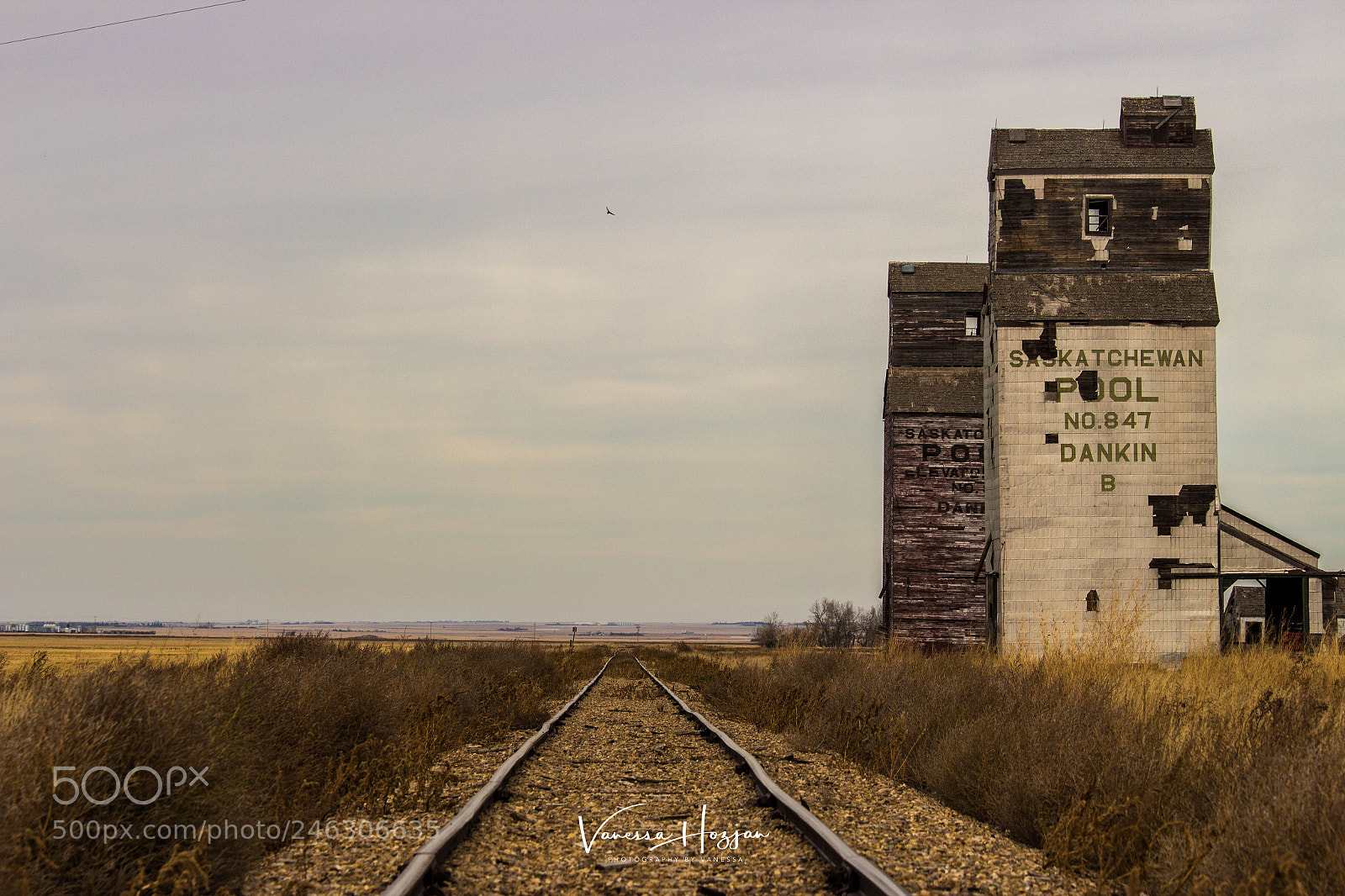 Canon EOS 700D (EOS Rebel T5i / EOS Kiss X7i) sample photo. Saskatchewan oct 2017 photography