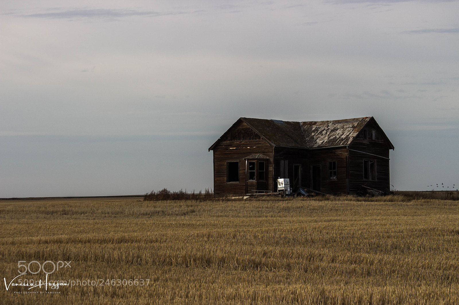 Canon EOS 700D (EOS Rebel T5i / EOS Kiss X7i) sample photo. Saskatchewan oct 2017 photography