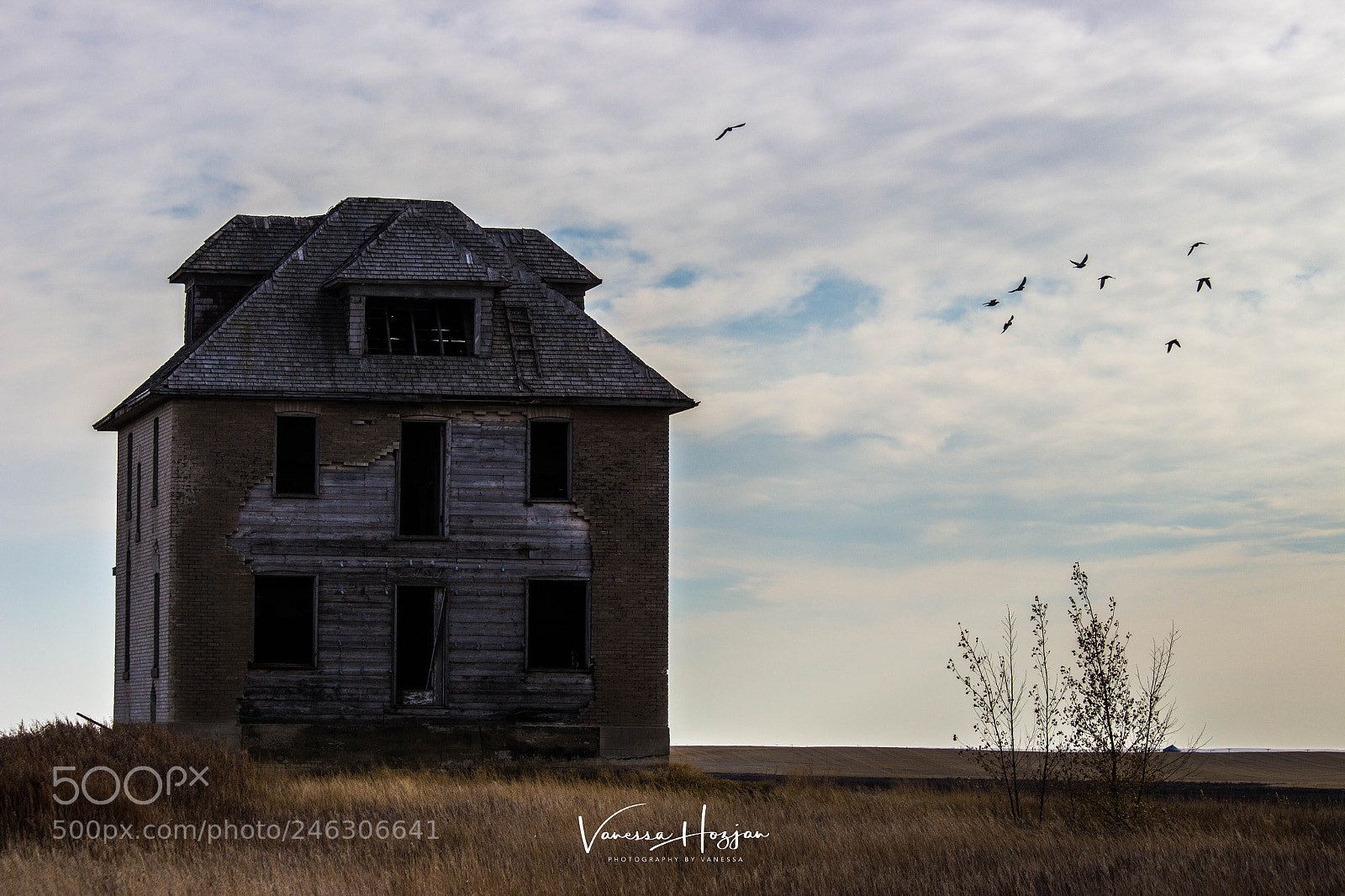 Canon EOS 700D (EOS Rebel T5i / EOS Kiss X7i) sample photo. Saskatchewan oct 2017 photography