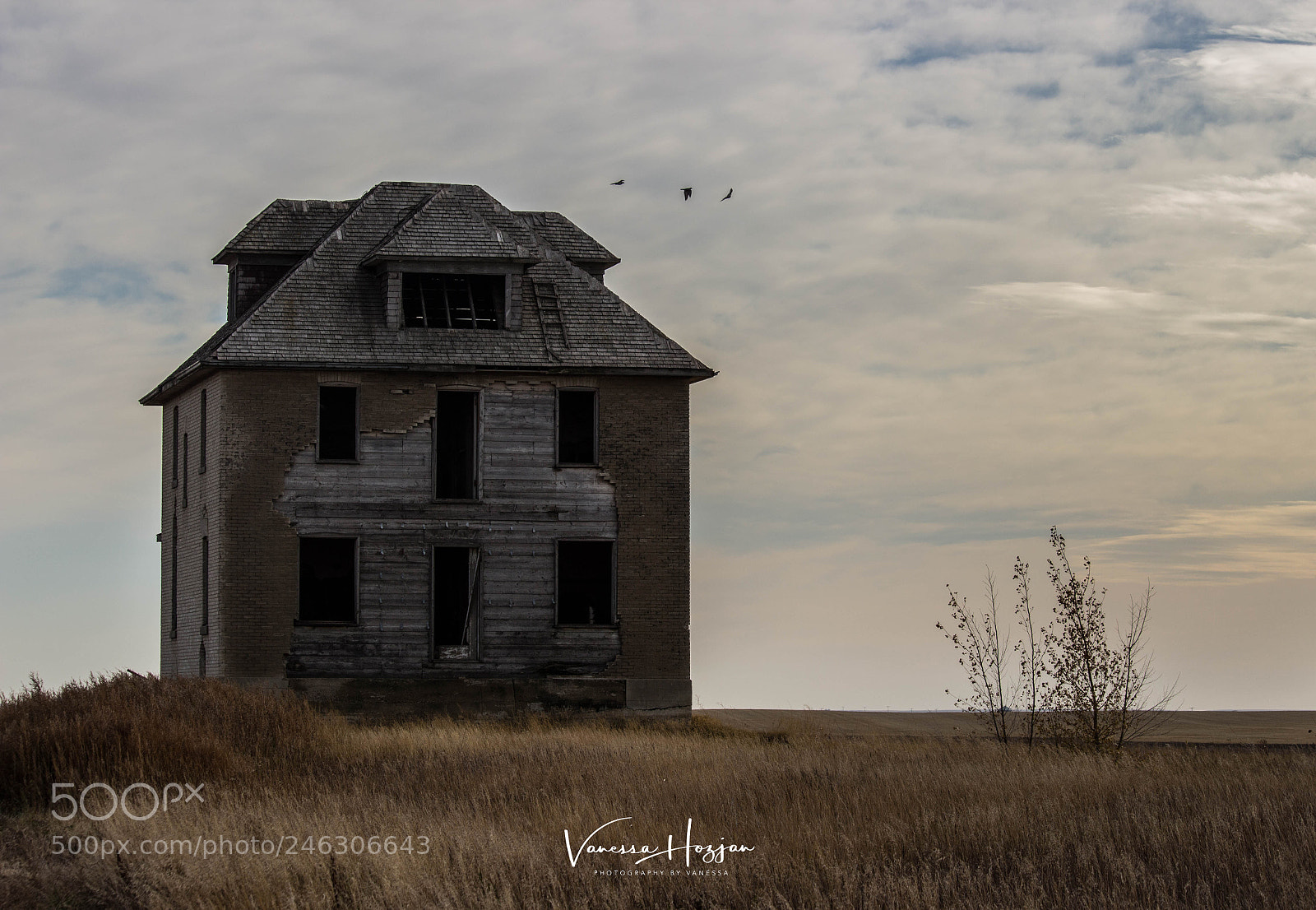 Canon EOS 700D (EOS Rebel T5i / EOS Kiss X7i) sample photo. Saskatchewan oct 2017 photography