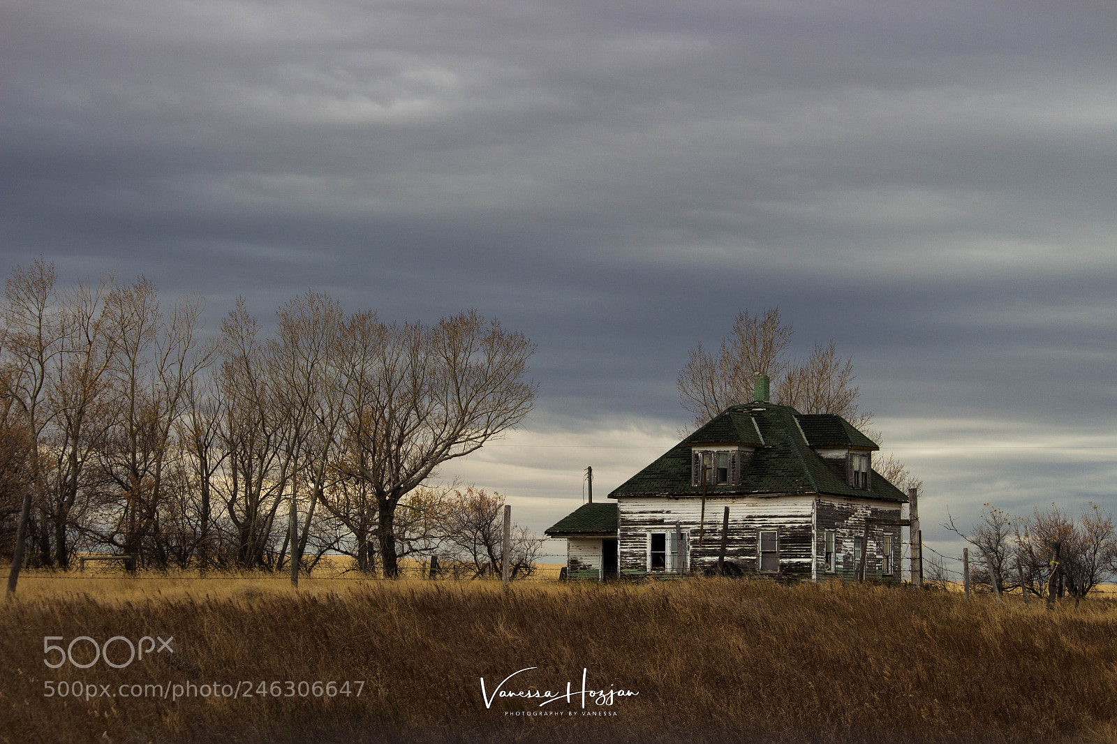 Canon EOS 700D (EOS Rebel T5i / EOS Kiss X7i) sample photo. Saskatchewan oct 2017 photography