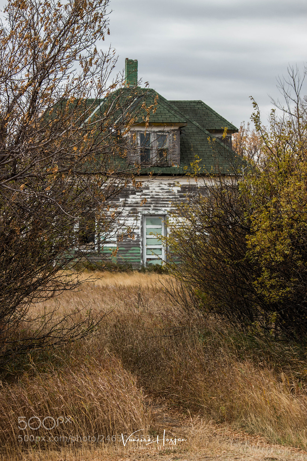 Canon EOS 700D (EOS Rebel T5i / EOS Kiss X7i) sample photo. Saskatchewan oct 2017 photography