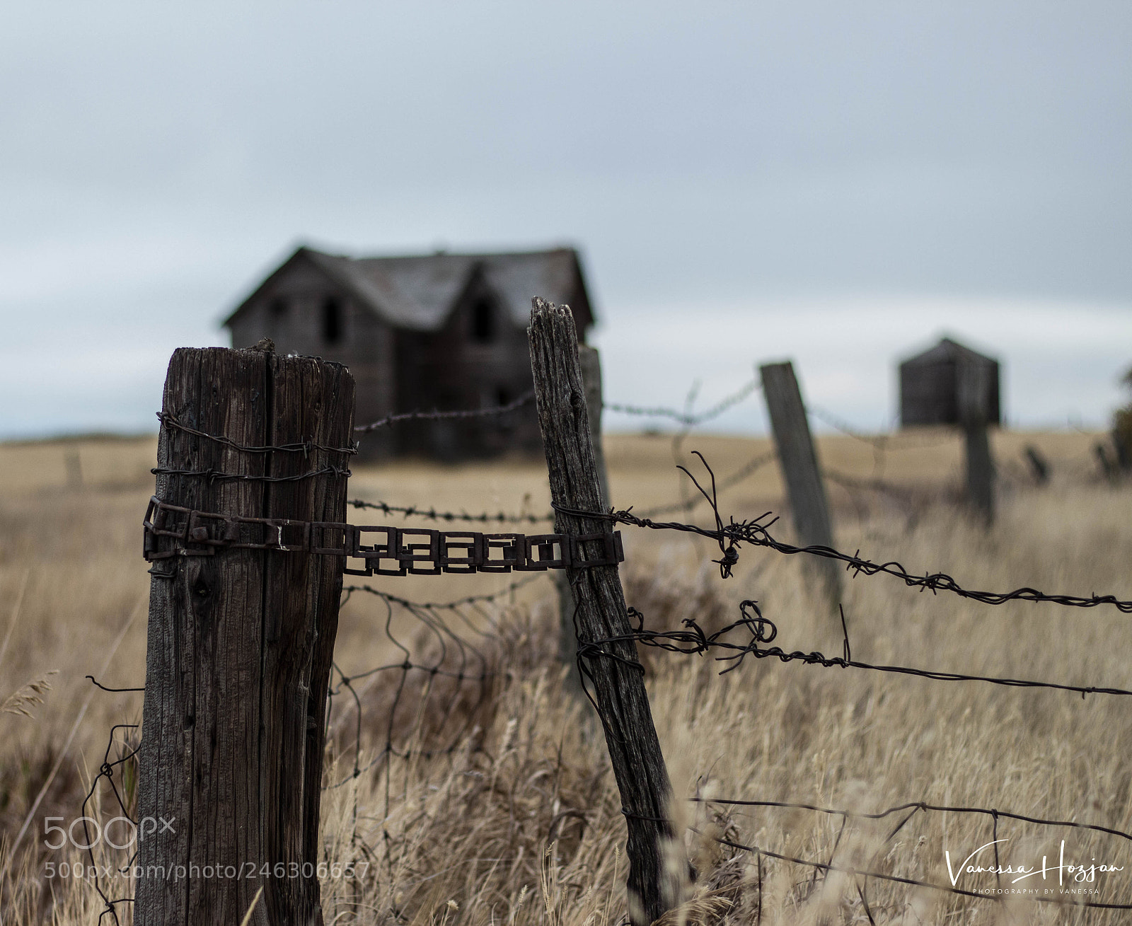 Canon EOS 700D (EOS Rebel T5i / EOS Kiss X7i) sample photo. Saskatchewan oct 2017 photography
