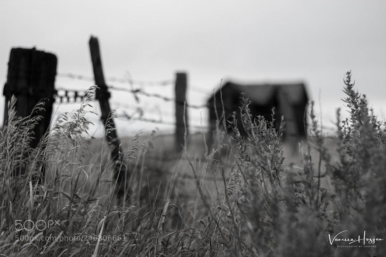 Canon EOS 700D (EOS Rebel T5i / EOS Kiss X7i) sample photo. Saskatchewan oct 2017 photography