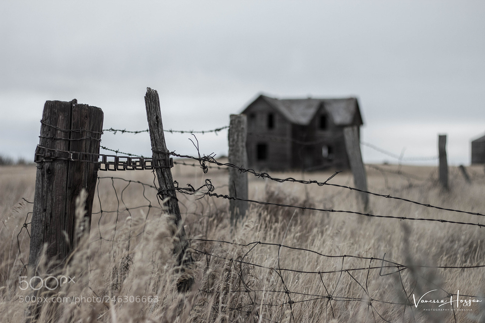 Canon EOS 700D (EOS Rebel T5i / EOS Kiss X7i) sample photo. Saskatchewan oct 2017 photography