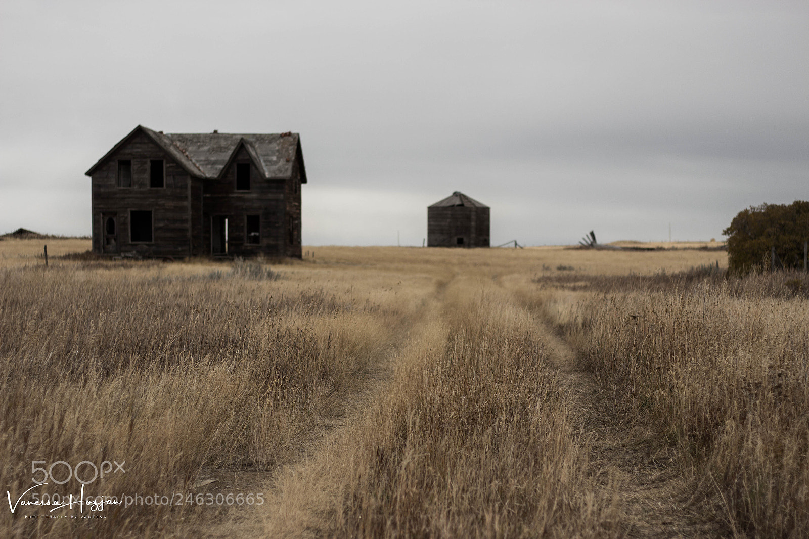 Canon EOS 700D (EOS Rebel T5i / EOS Kiss X7i) sample photo. Saskatchewan oct 2017 photography