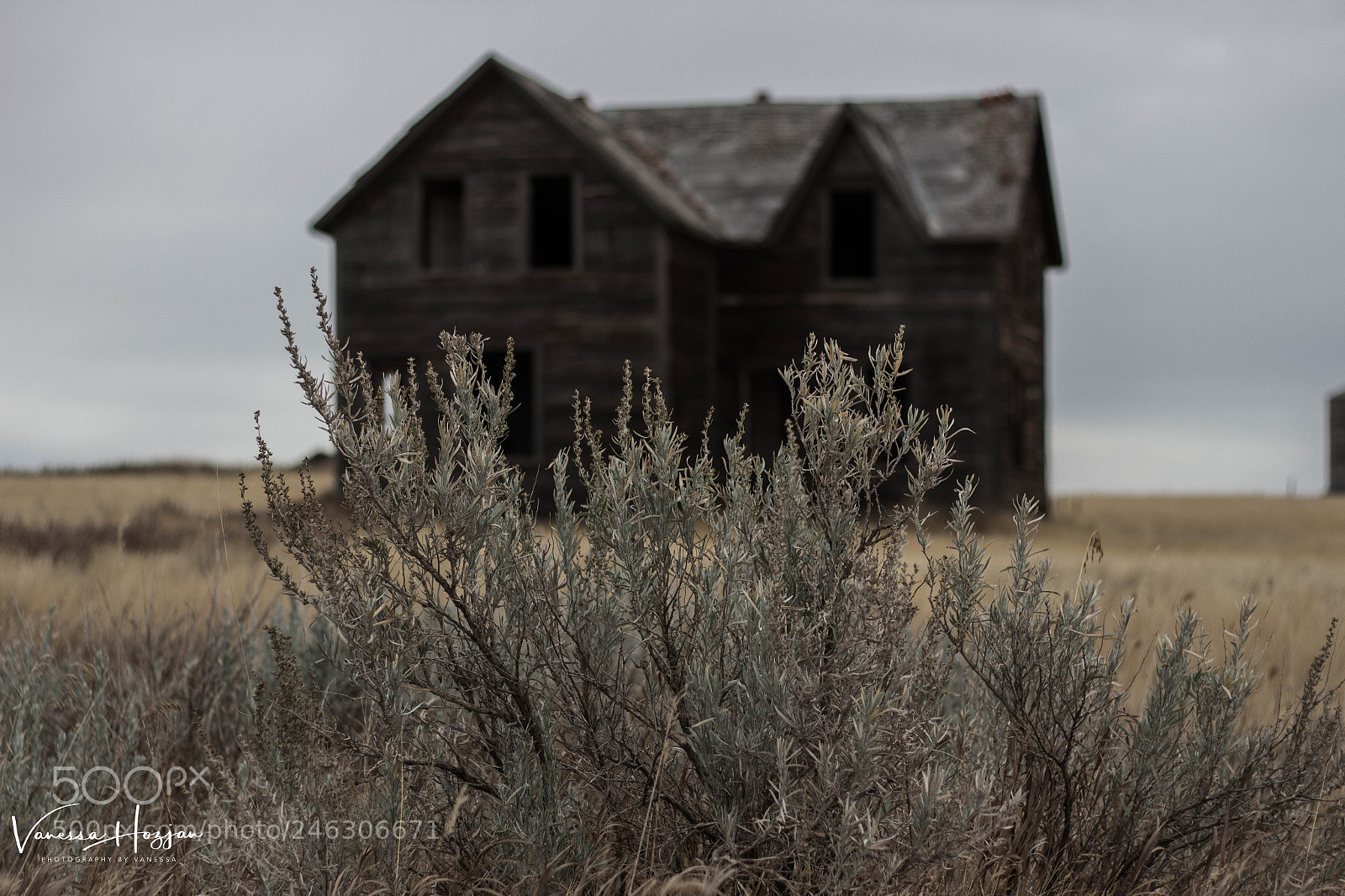Canon EOS 700D (EOS Rebel T5i / EOS Kiss X7i) sample photo. Saskatchewan oct 2017 photography