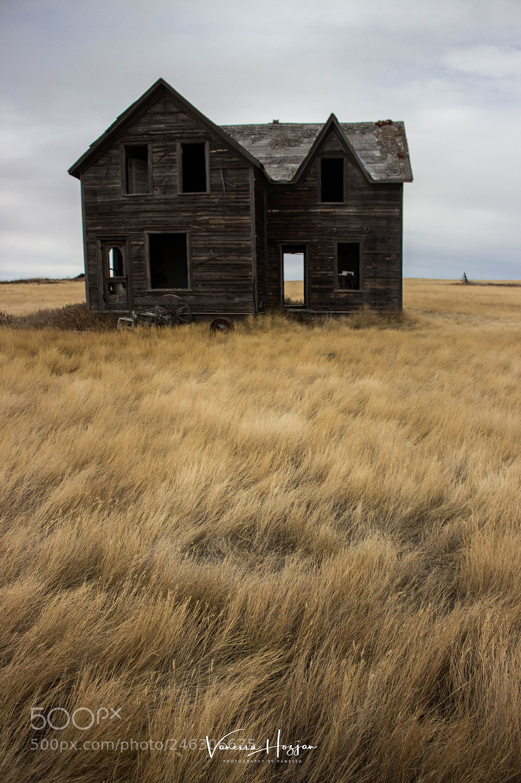 Canon EOS 700D (EOS Rebel T5i / EOS Kiss X7i) sample photo. Saskatchewan oct 2017 photography