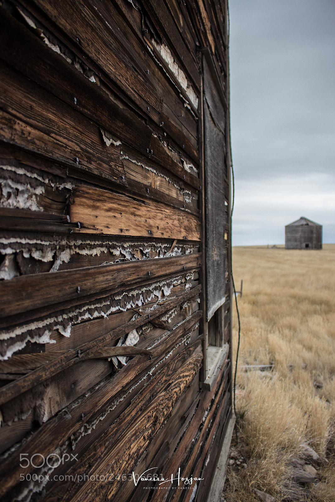 Canon EOS 700D (EOS Rebel T5i / EOS Kiss X7i) sample photo. Saskatchewan oct 2017 photography