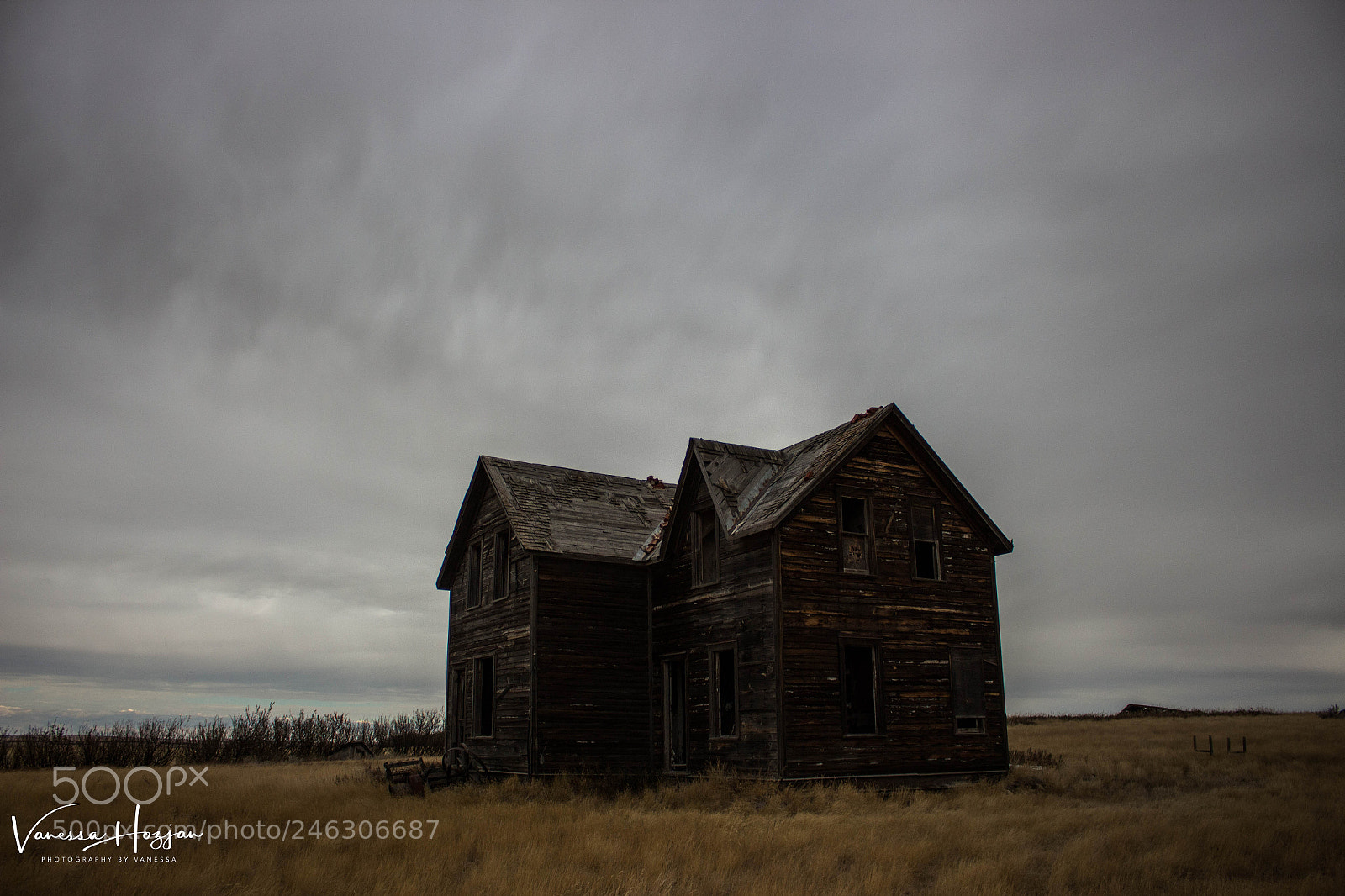 Canon EOS 700D (EOS Rebel T5i / EOS Kiss X7i) sample photo. Saskatchewan oct 2017 photography