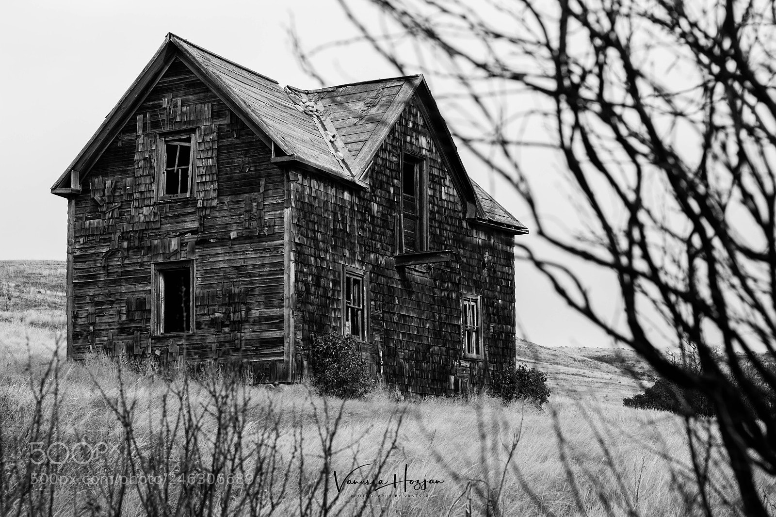 Canon EOS 700D (EOS Rebel T5i / EOS Kiss X7i) sample photo. Saskatchewan oct 2017 photography