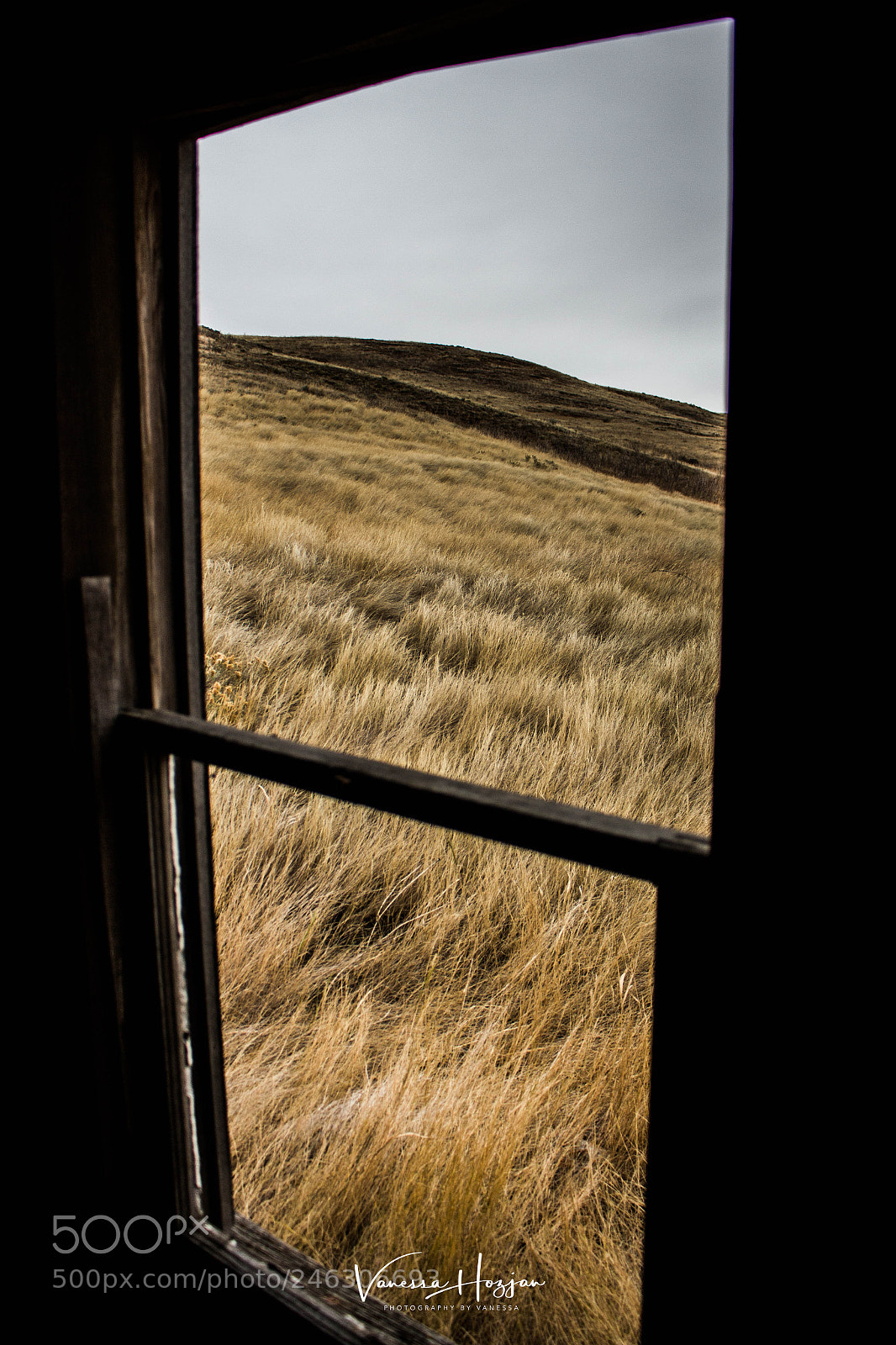 Canon EOS 700D (EOS Rebel T5i / EOS Kiss X7i) sample photo. Saskatchewan oct 2017 photography