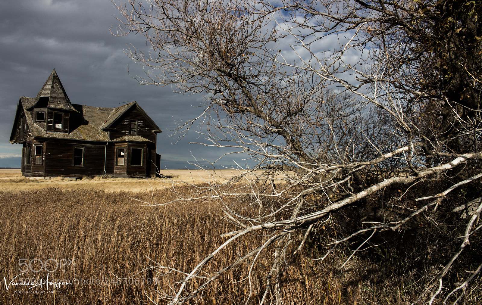 Canon EOS 700D (EOS Rebel T5i / EOS Kiss X7i) sample photo. Saskatchewan oct 2017 photography
