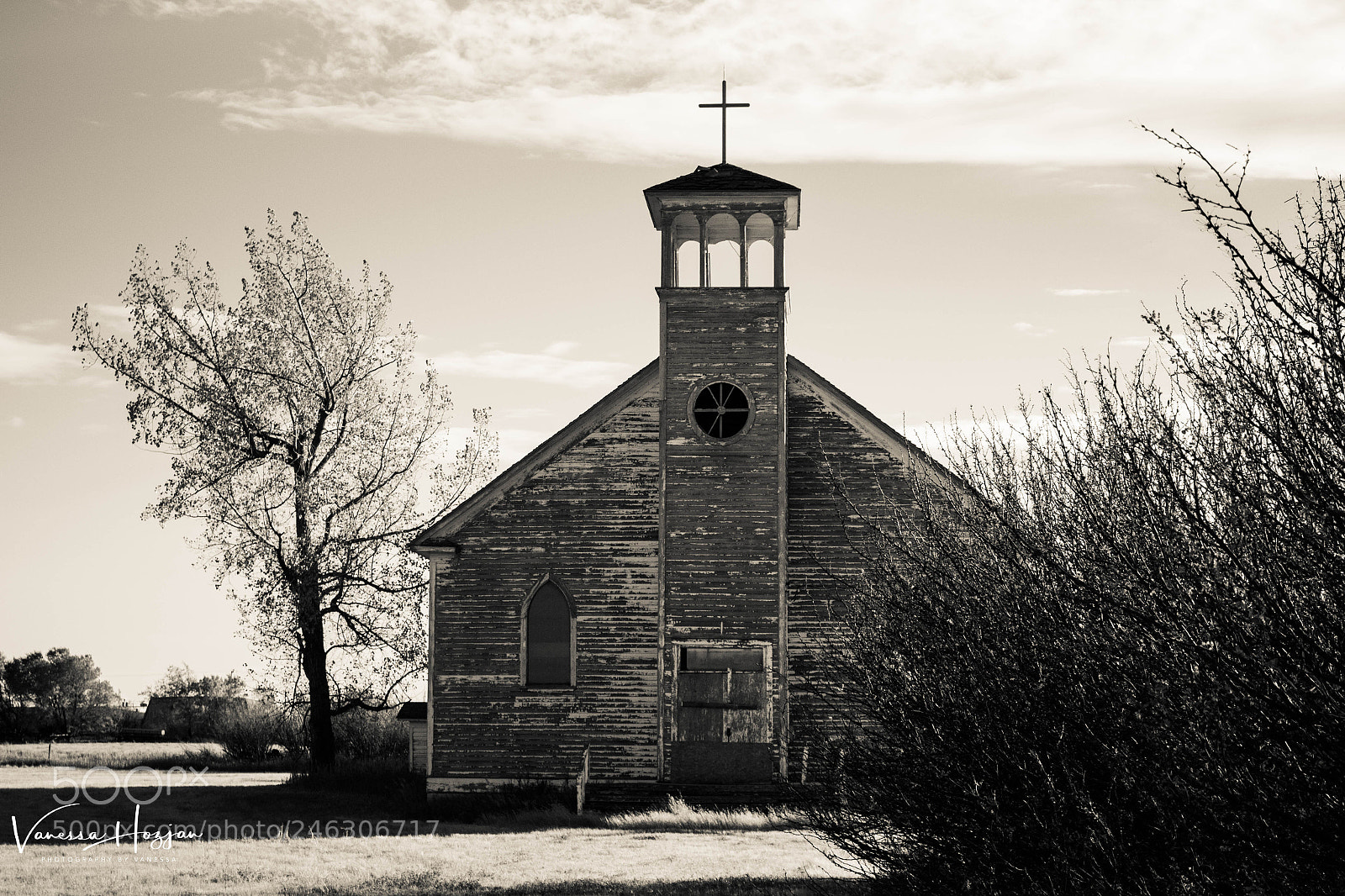 Canon EOS 700D (EOS Rebel T5i / EOS Kiss X7i) sample photo. Saskatchewan oct 2017 photography