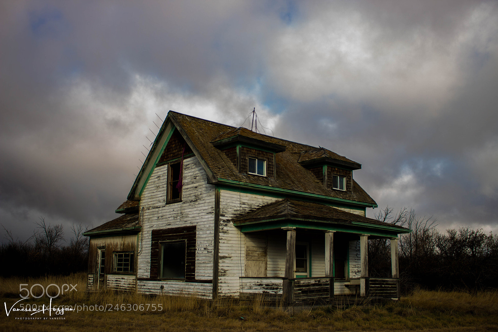 Canon EOS 700D (EOS Rebel T5i / EOS Kiss X7i) sample photo. Saskatchewan oct 2017 photography