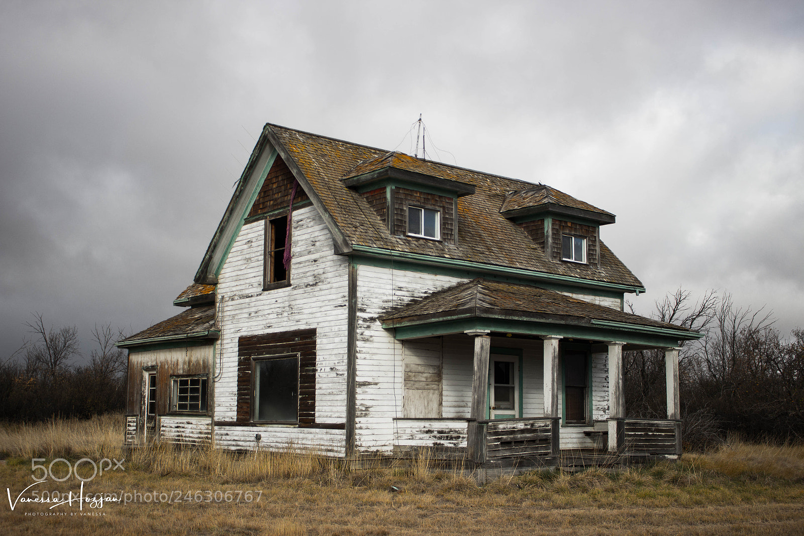 Canon EOS 700D (EOS Rebel T5i / EOS Kiss X7i) sample photo. Saskatchewan oct 2017 photography