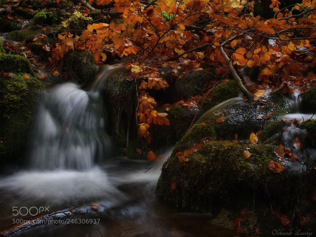 Olympus E-3 sample photo. Autumn waterfall photography