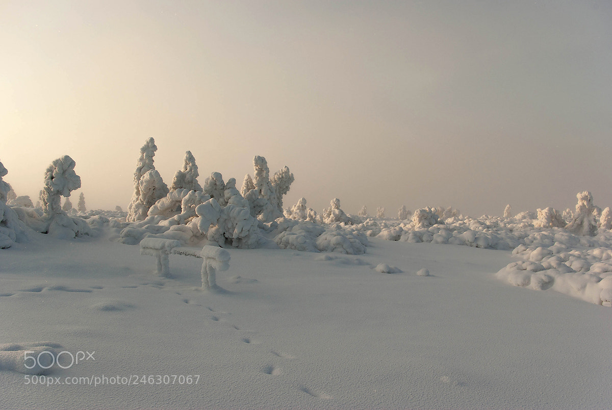 Pentax K10D sample photo. Karkonosze photography