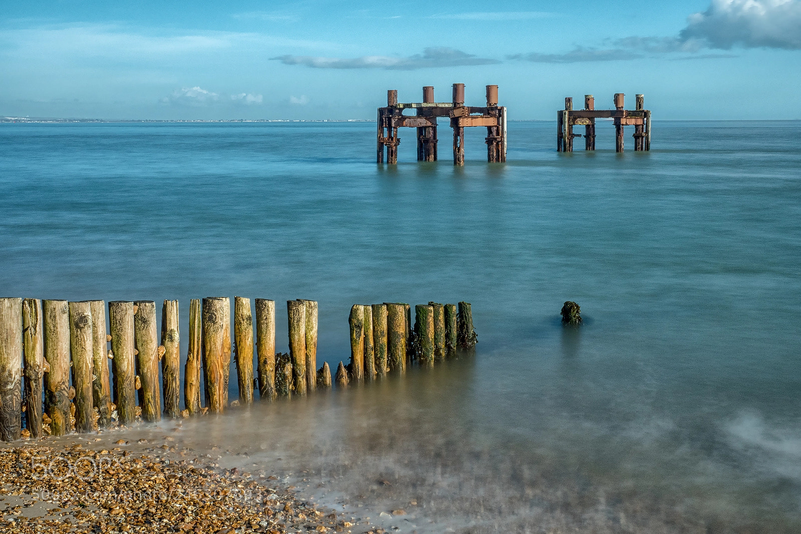 Olympus OM-D E-M5 II sample photo. The lepe dolphins photography