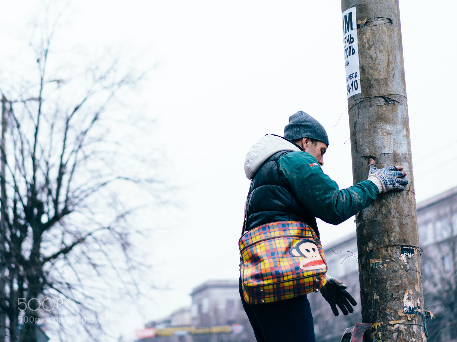 Sony a7R II sample photo. 277/365 - real urban monkey photography