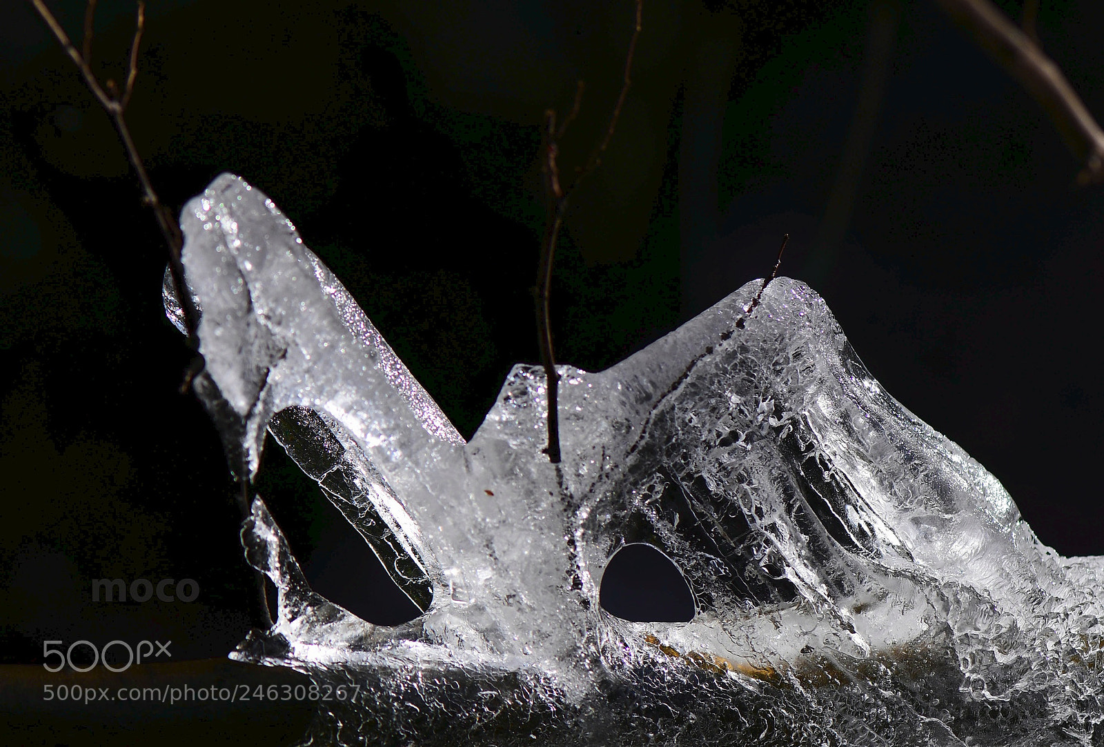 Nikon D500 sample photo. World of ice ... photography