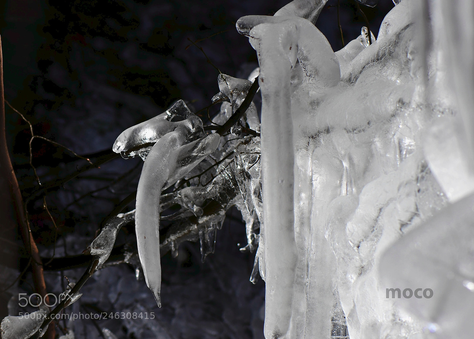 Nikon D500 sample photo. Ice age photography